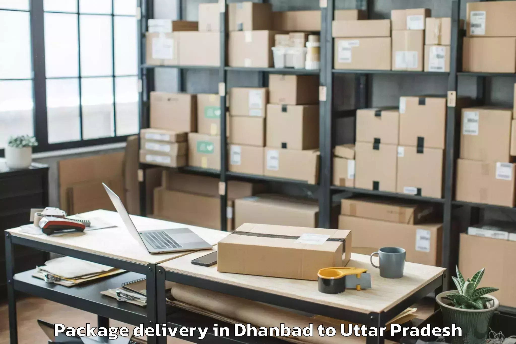 Book Dhanbad to Monad University Hapur Package Delivery